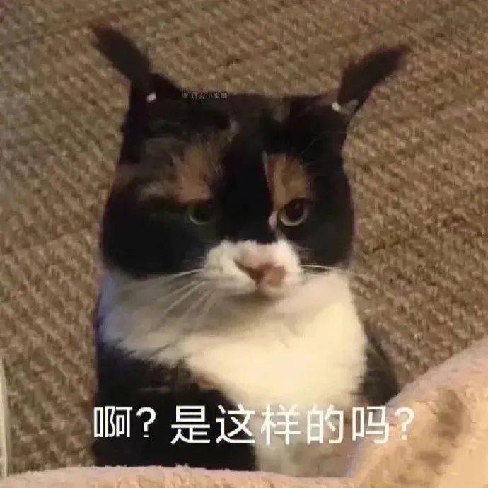 哈哈哈哈哈肾虚仔丨第910期喵表情包