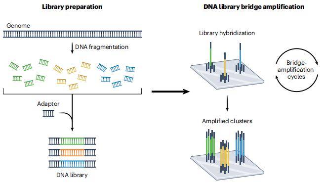 从sanger测序到新一代测序(ngs)背后的努力