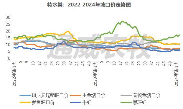 最高暴涨10元/斤!罗非鲫鱼,鳜鱼加州鲈,斑节