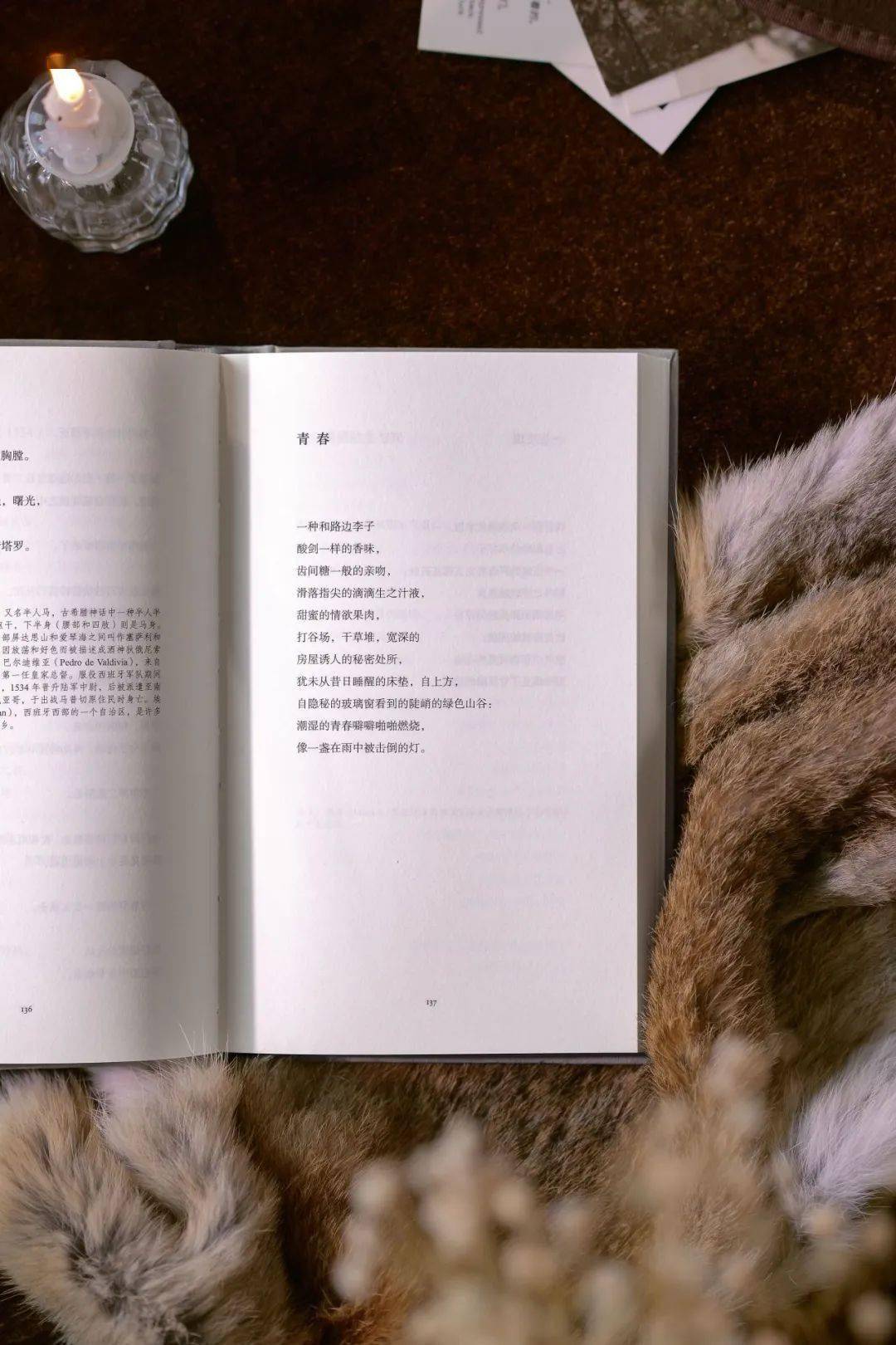 聂鲁达的诗(陈黎 张芬龄 译)_我爱你_眼睛_大海