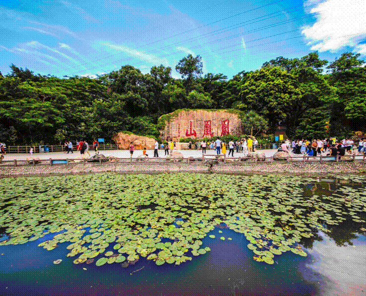 在深过大年,来福永沾福气,吃喝玩乐给你安排了_宝安_深圳_凤凰山