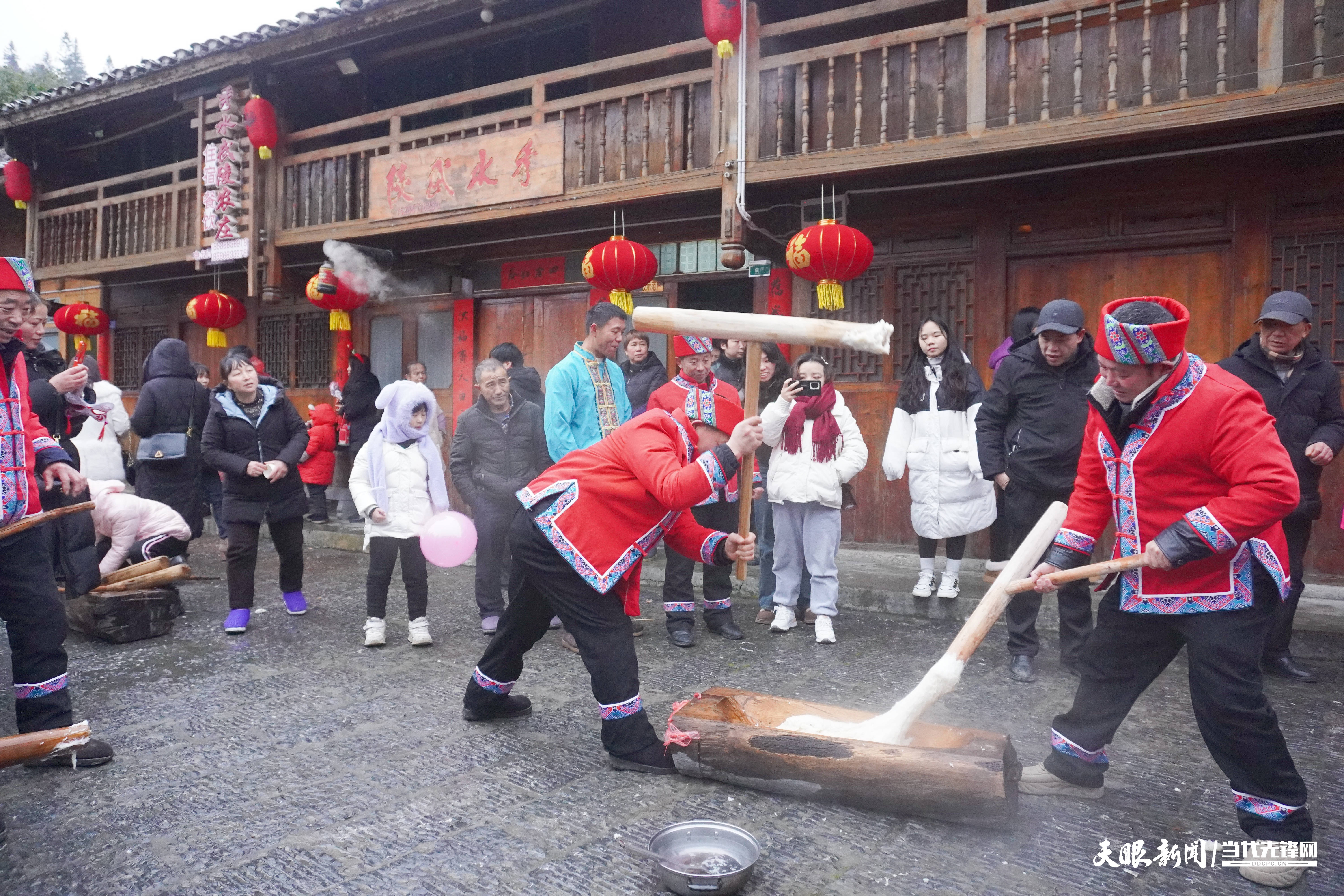 贵州杨聪简历图片