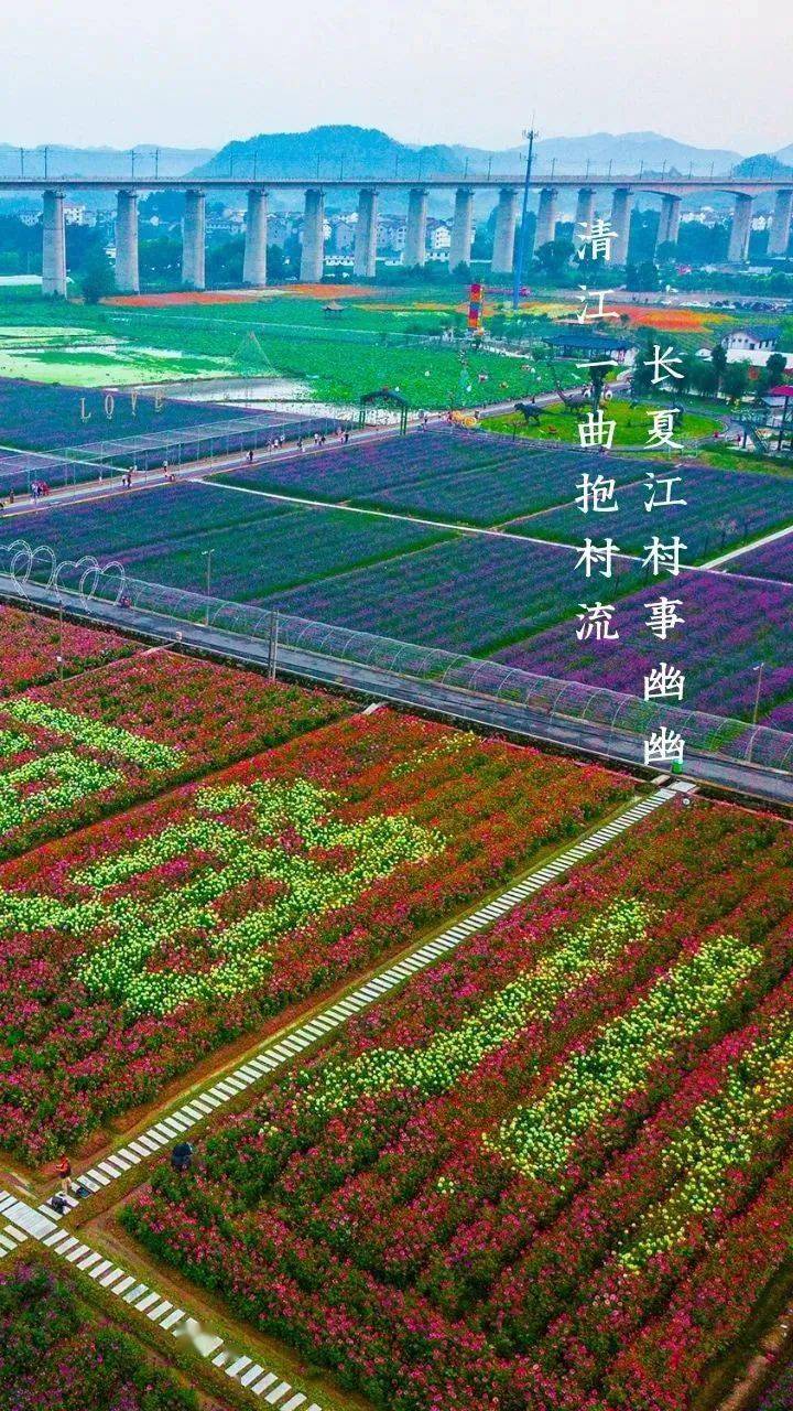 全国春节"村晚"示范,丽水缙云笕川村入选!_活动_文化_乡村