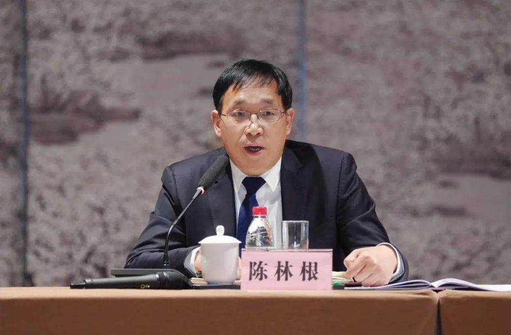 2024,桐乡这样干!_发展_王坚_工作