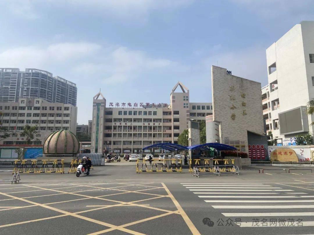 电白一中初级中学,旧电白一小,电白二小,电白三小,电白九小,上排小学