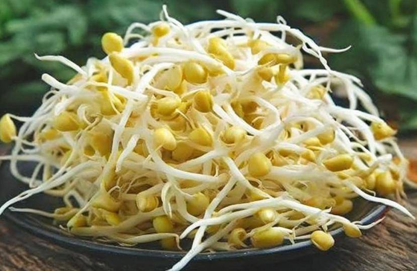 建议中老年多吃3芽,促进阳气生发,缓解病痛_绿豆芽_黄豆芽_养生