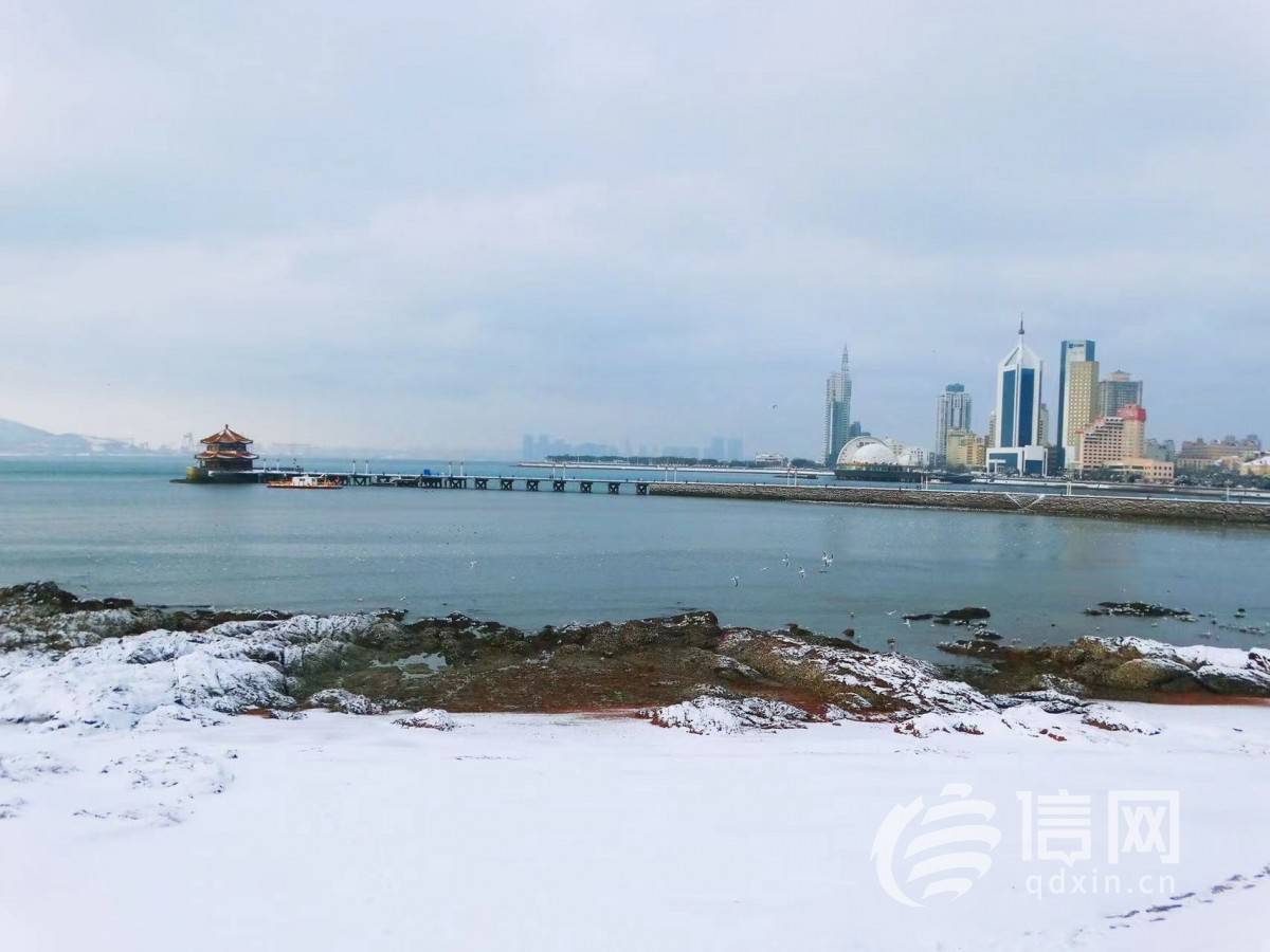 雪后青岛海边风景更胜 海鸥飞得近投喂更惬意_游客_栈桥_于晓