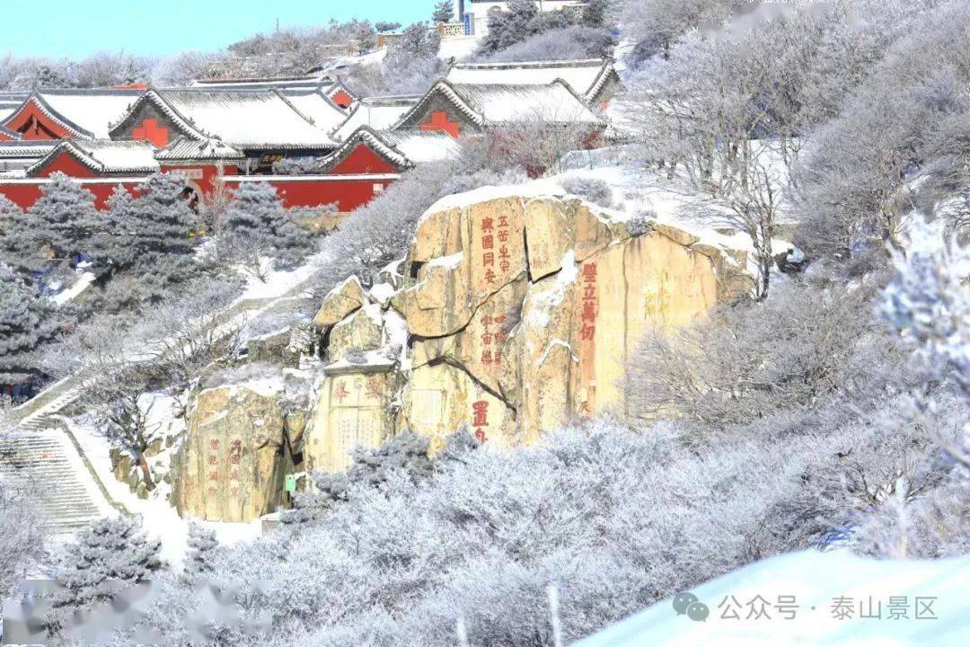 关于实行限时开放的通告_泰山_景区_信号