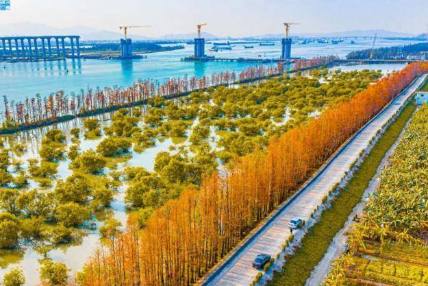 05玩乐推荐创益文化园,快活谷乐园,沙心稻草园,新合海钓围,坦洲特色