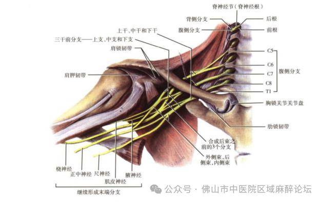 实用技术