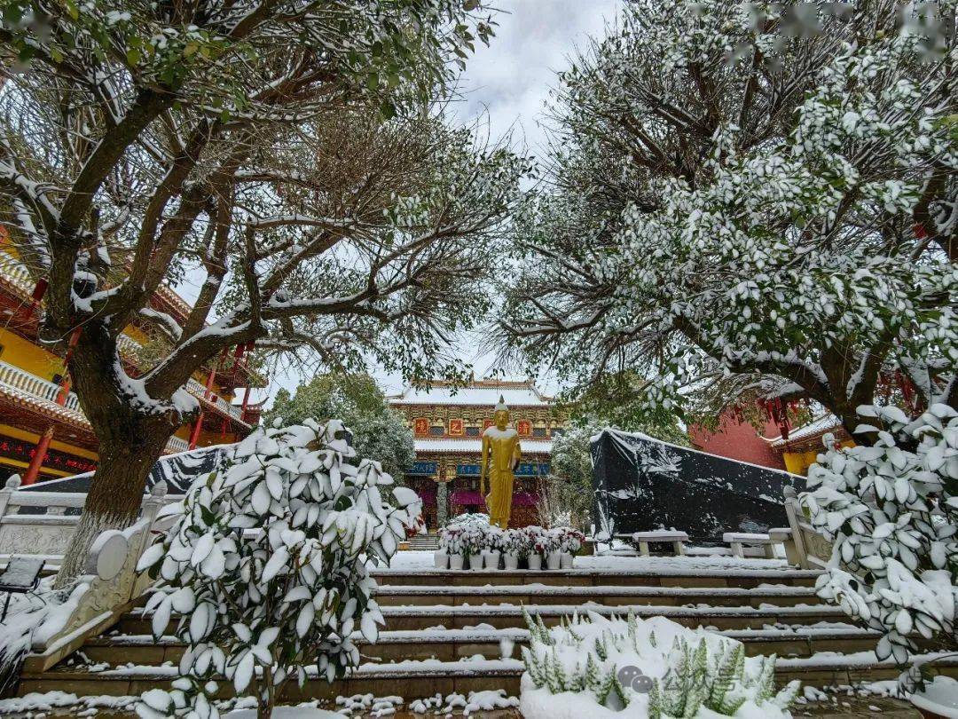 阳山威灵殿雪景图片