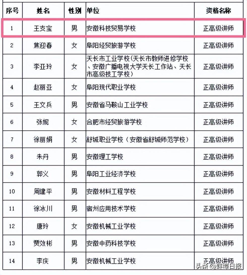 年度安徽省中小学教师系列高级职称评审委员会评审通过人员名单2024年