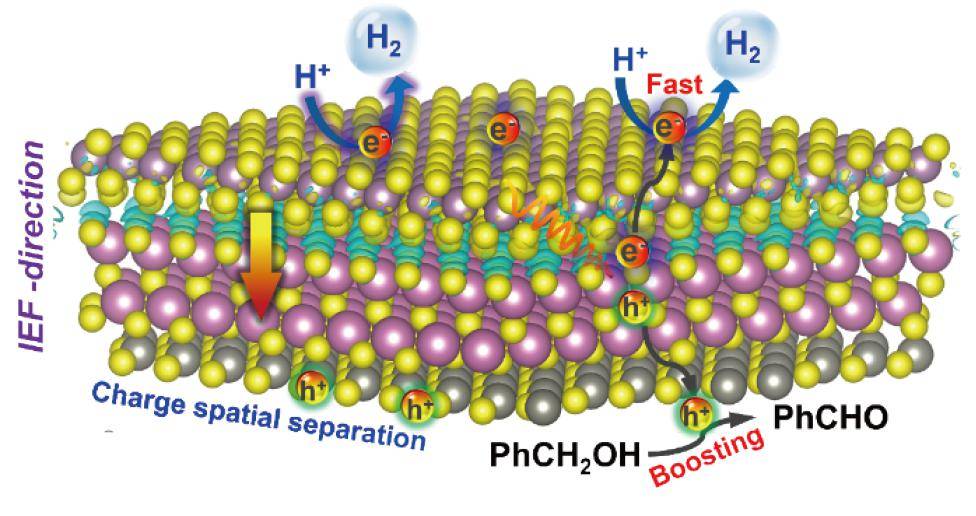 青島大學唐華&山巍等:金屬相1t-mos2/znin2s4異質結光