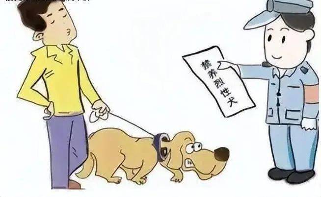普法丨禁养的烈性犬无论受害人有无过错,犬主承担全责_安某_王某某_缪