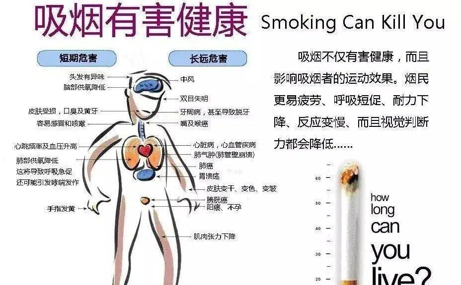 健康科普丨烟草的危害:从一手到三手,无处不在的威胁