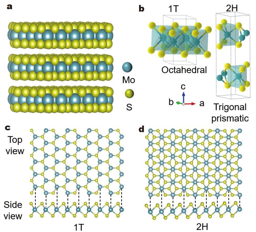 青島大學唐華&山巍等:金屬相1t-mos2/znin2s4異質結光