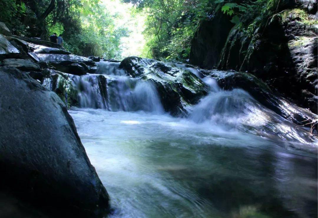 关垭楚长城——绿之恋——龙王垭茶文化旅游区——黄花沟旅游区——皇