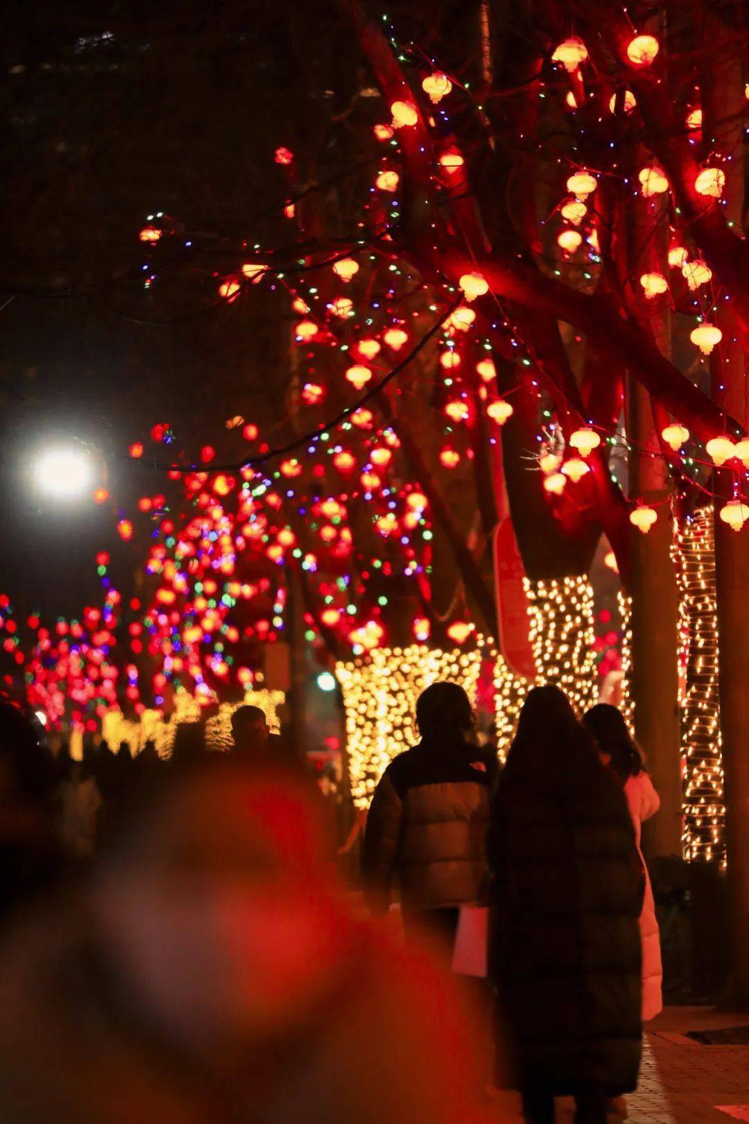 张灯结彩,快来朝阳赏"灯"观"龙"_景观_灯光_元素