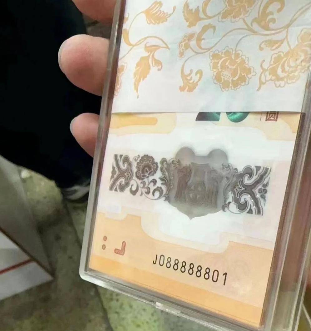 价格_网点_刀龙