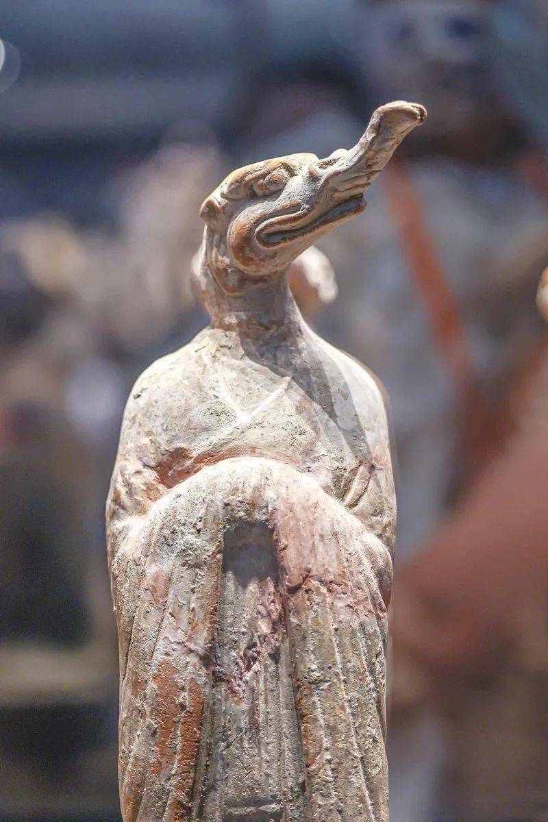 前4500年的天然蚌壳龙形堆塑,到公元前3000年前后的红山文化玉玦形龙