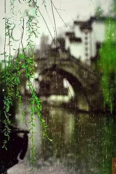 烟雨江南,诗画的缠绵_时光_风宋雨_流年