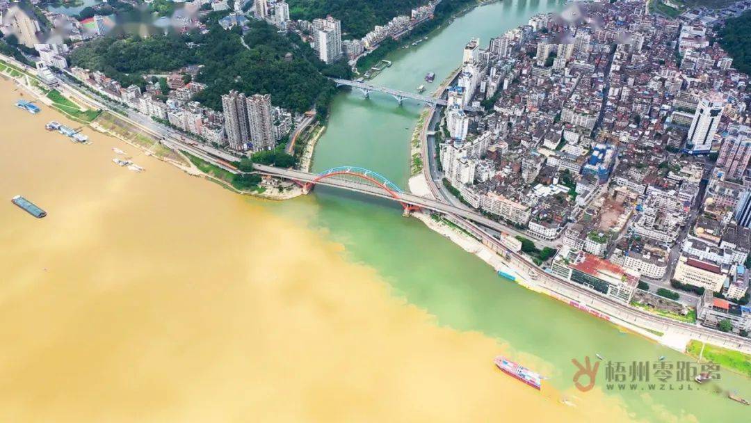 龙年春节游梧州!市区旅游攻略来啦