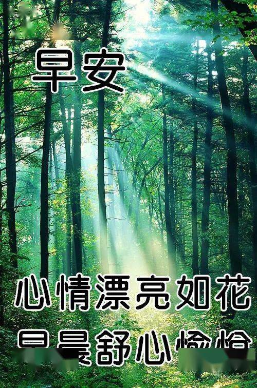 早上好动态表情图片大全,早晨好动图美图大全_祝福_天气_工作