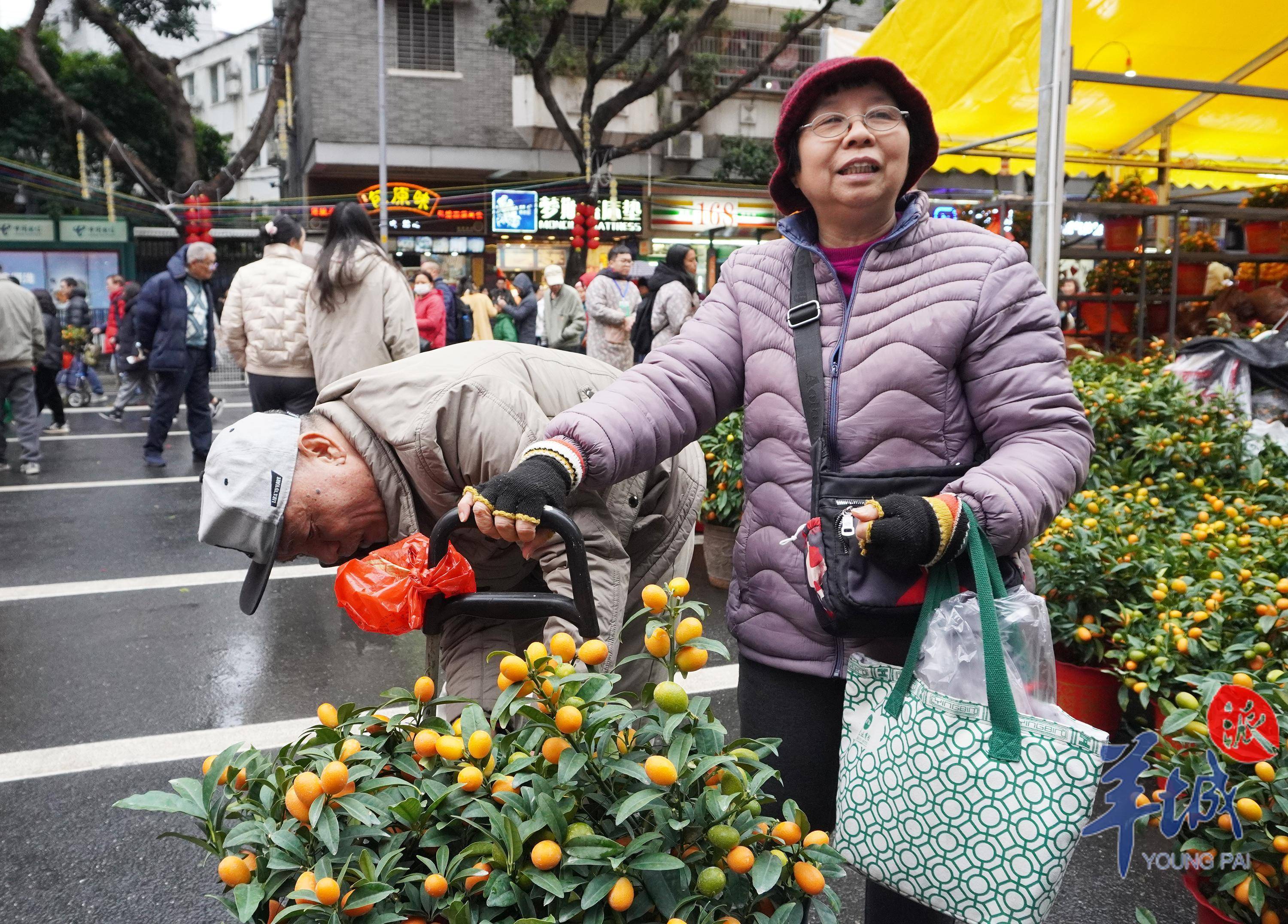 逛花街的寓意图片