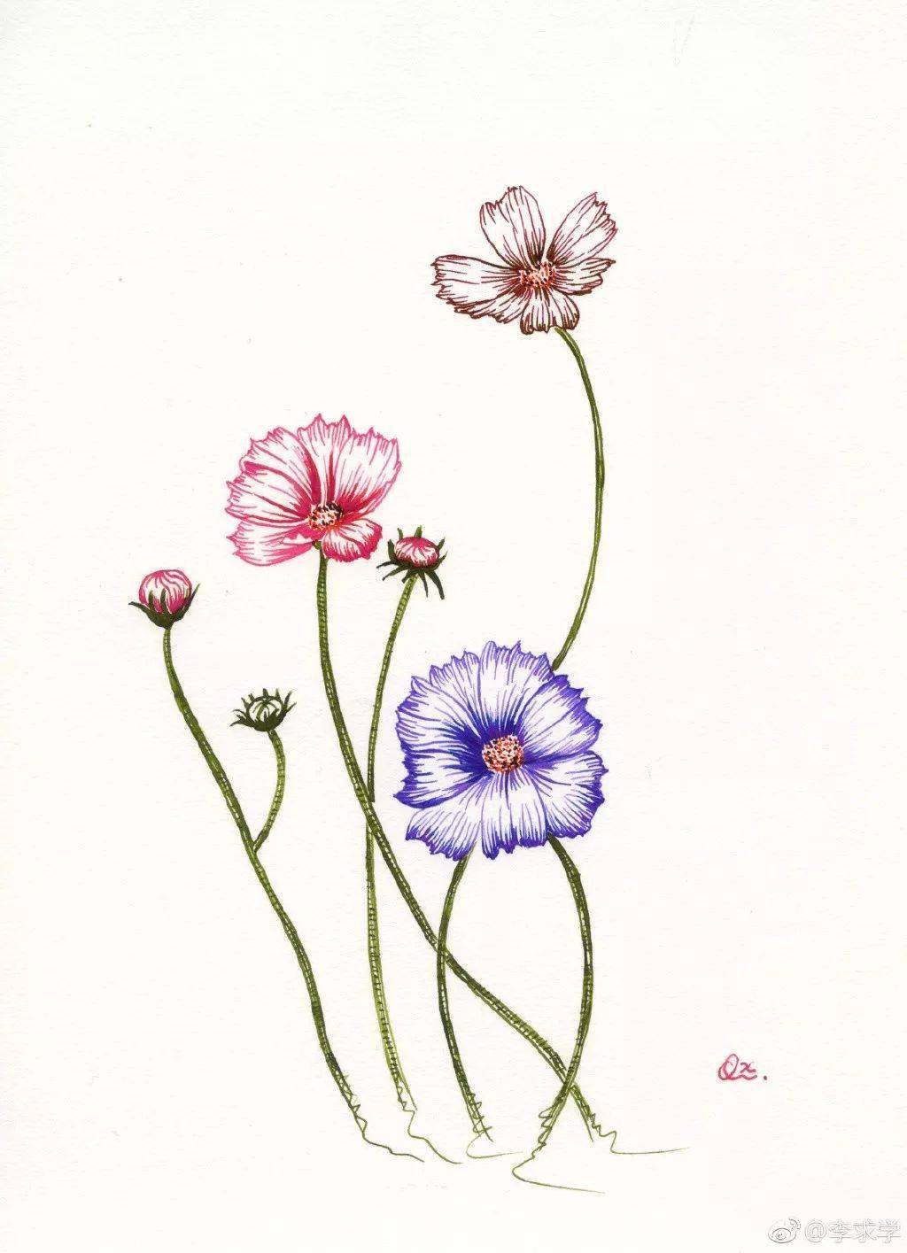 极简钢笔画合集,都这么简单了不信你学不会