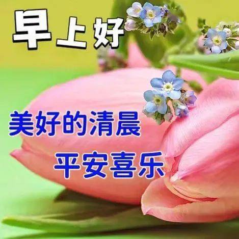 腊月二十九早上好图片带字祝福语,愿你万事顺心,好运临门!