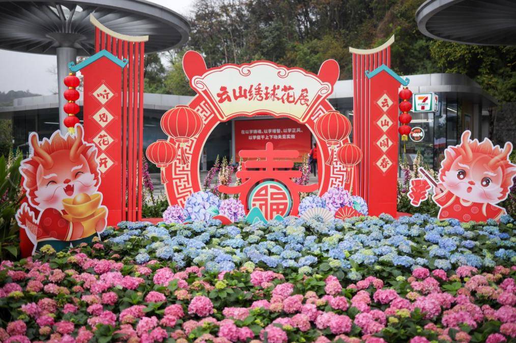 云山春意闹,广州白云山鸣春谷绣球花展开幕
