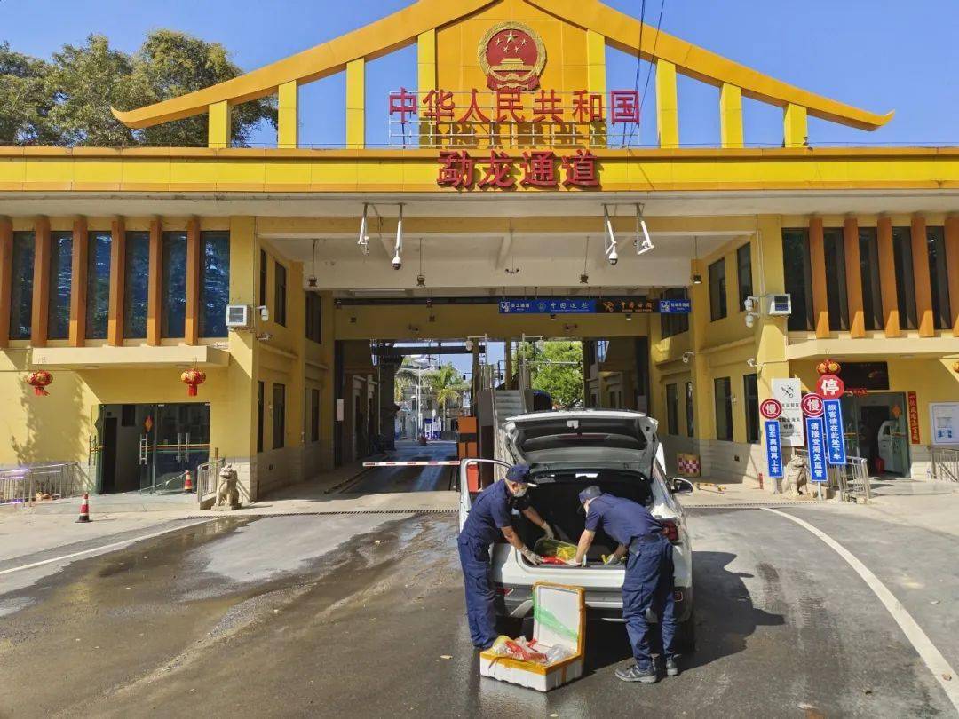 勐康海关关员在勐康口岸对进境货车进行查验.供稿:文中各单位