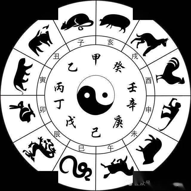 谭老师为你介绍天干地支小知识_平台_艺术_江尚仁