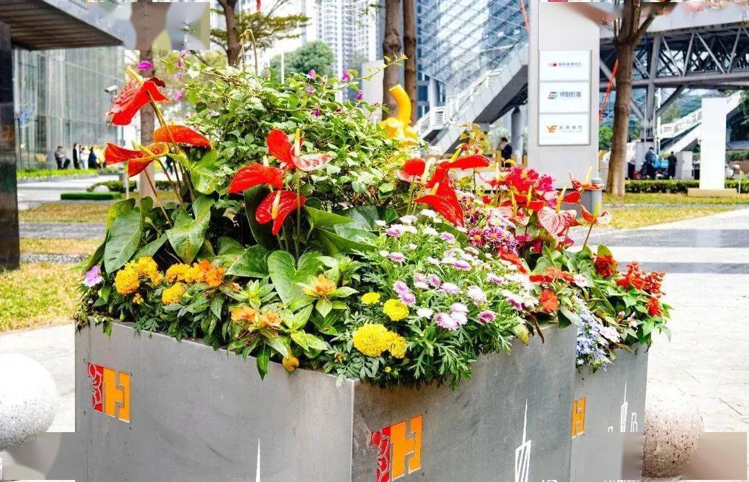 请你来看天河版"繁花"→_城市_大道_隧道