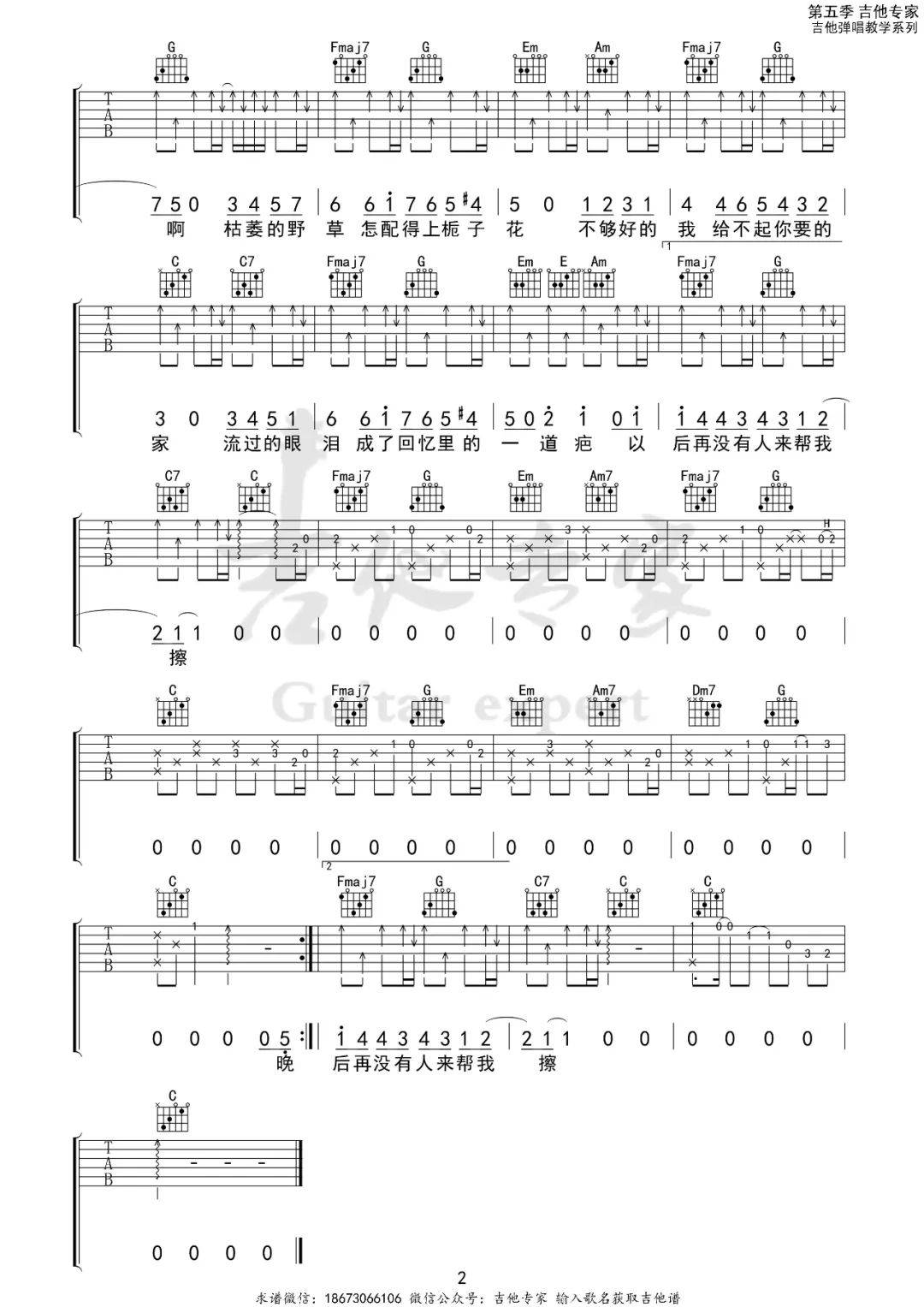 野草与栀子花 c调吉他谱 |林三七_晚风_离开_初夏