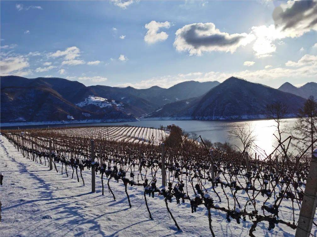 一场完美的冰雪之旅,怎能少了美食的陪伴?