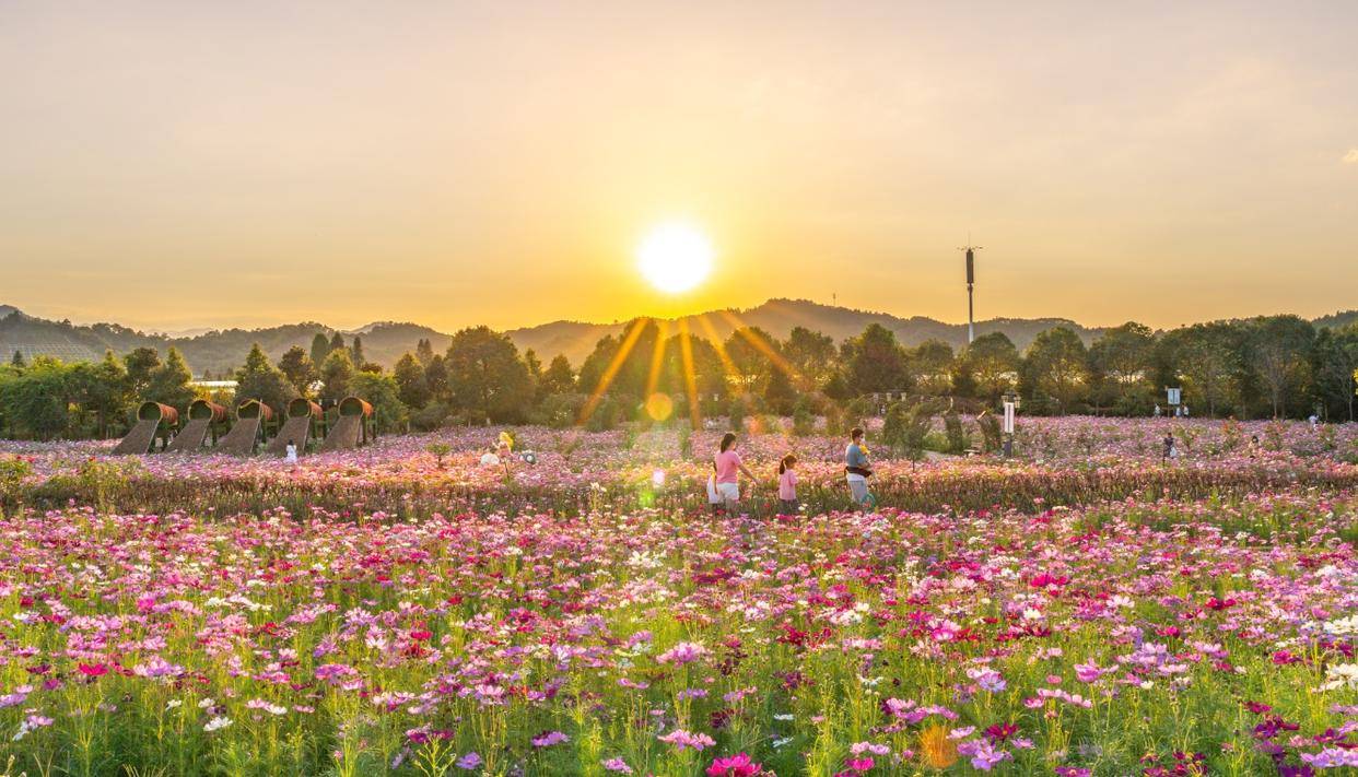 「新春走基层」闽浙赣旅游新看点:建阳冬季旅游别有"花"样年味