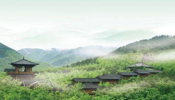 大唐贡茶院长兴县文旅集团下属景区:仙山湖,扬子鳄,陈武帝,金钉子