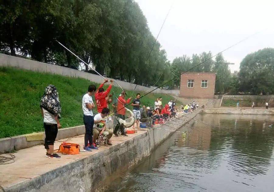 专钓巨物的鲟鱼塘,钓费高达几百元一天_杆子_池子_市场
