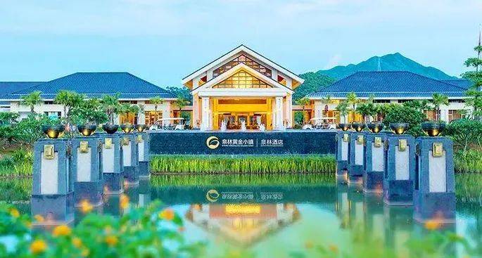 江门3.3精彩之旅!春节期间来一场醉美乡村游吧!_水乡