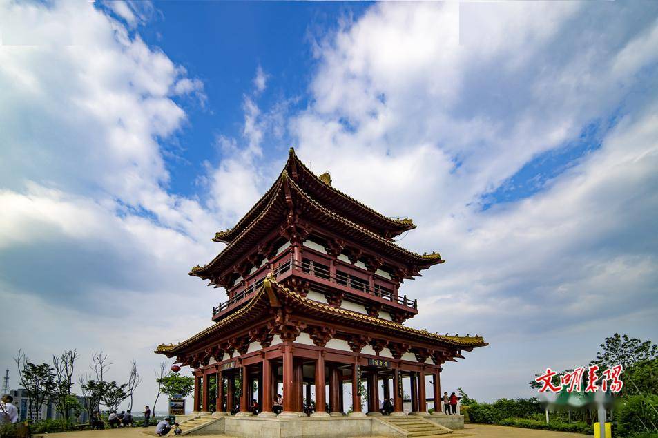 春节去哪玩?耒阳"四游"带你龙年"放肆游"_公园_游乐_美食