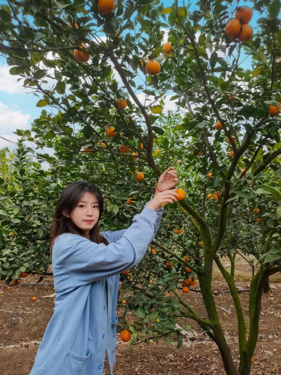 黑龙江_哈尔滨_传承