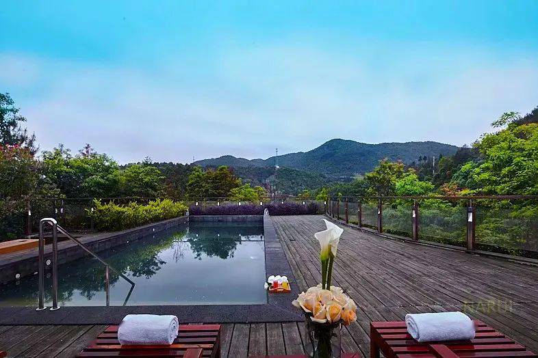 民宿月笼溪沙筱村公社月·蓝舍凤栖谷民宿村沐云山居酒店系列泰顺亿联