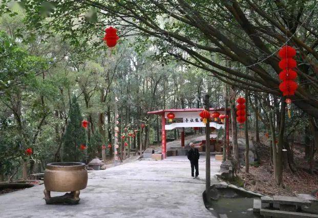 寻迹火炬文化|火炬也有条龙……_镇龙_社山_白袍