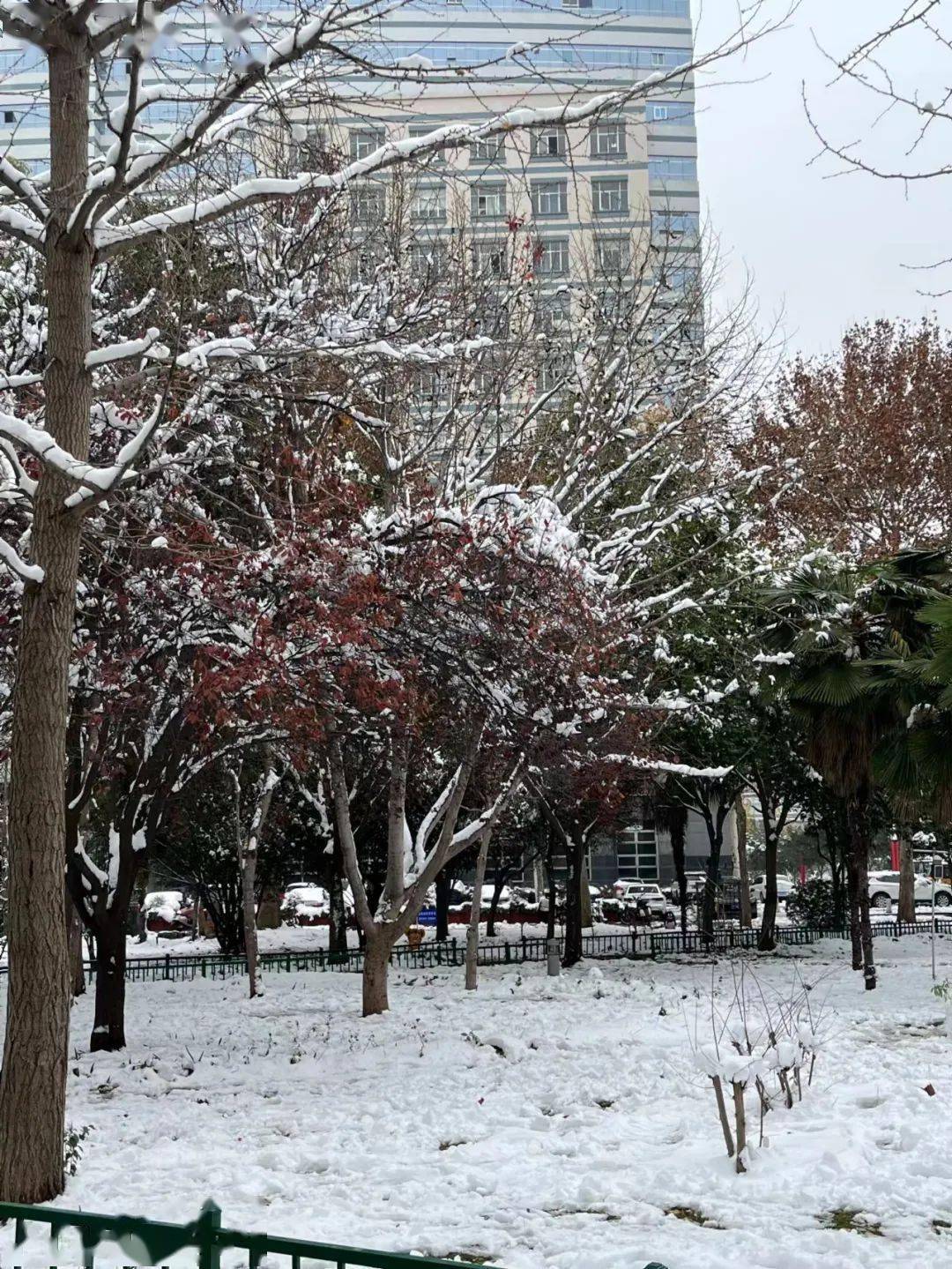 "晓"矩阵|机电工程学院:冬日|雪花舞起白色恋歌_雪景_石瑾瑾_楼房