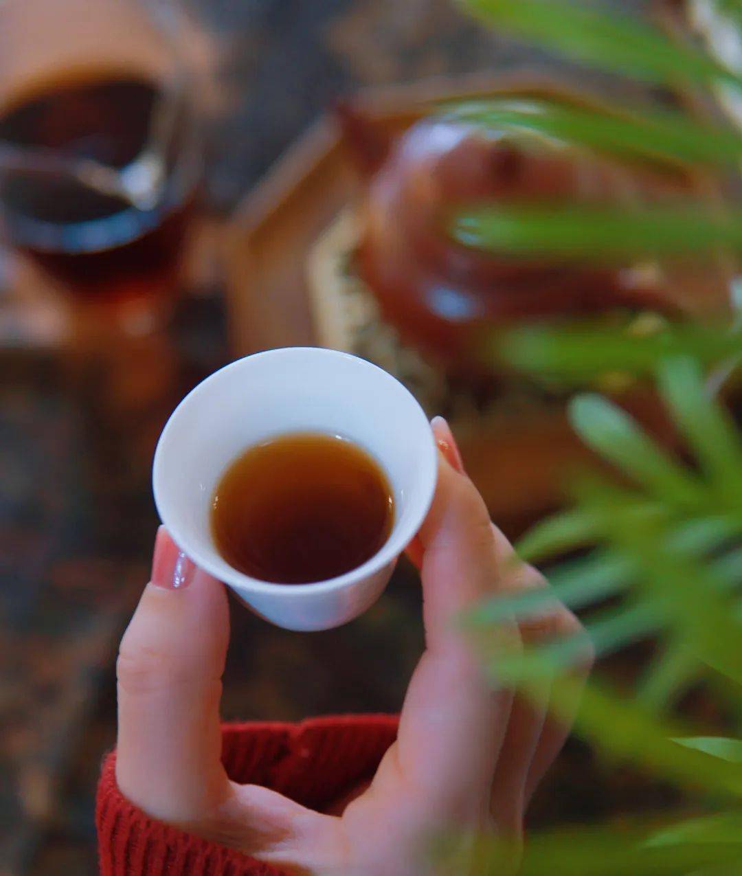 龙年百福茶礼盒仅199元起,过年送礼就它了!_普洱市_云南_花香
