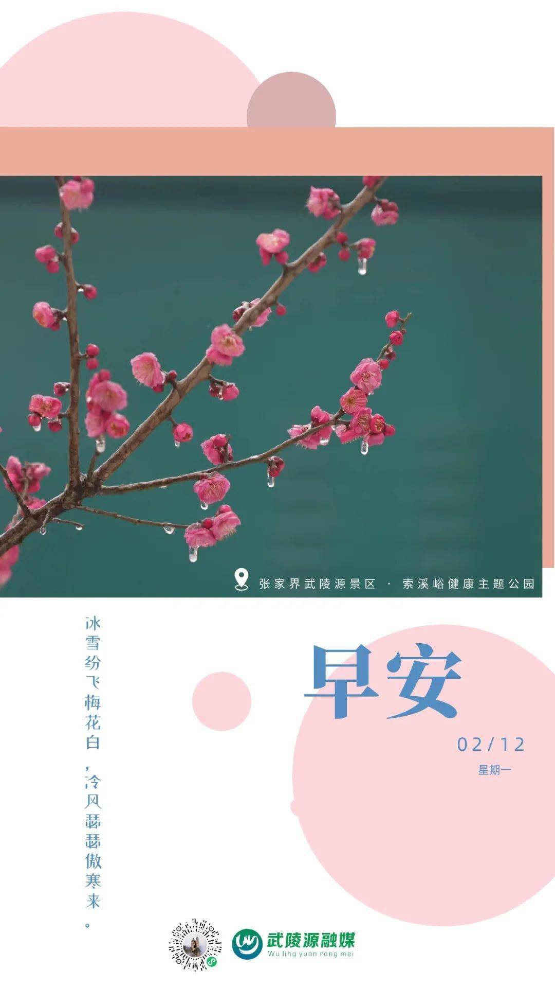 梅花早安图片大全带字图片