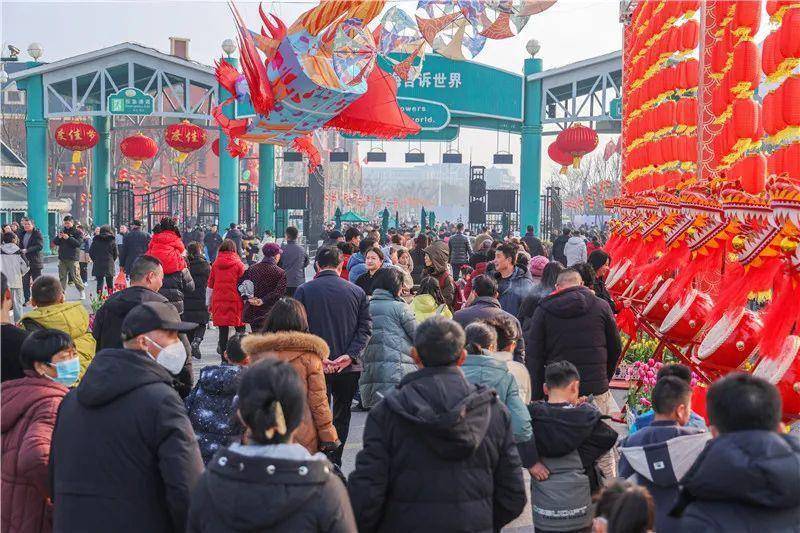 黄海森林公园大纵湖旅游度假区条子泥景区新四军纪念馆滋味盐城过大年