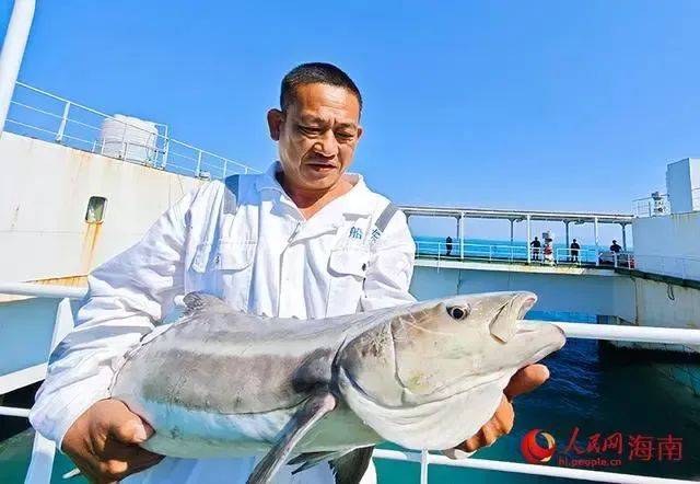 魚粉,豆粕大存不確定性?2024料價要