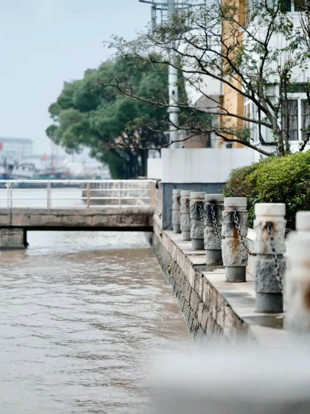 的一個小角落,在招寶山街道沿江路小眾打卡點